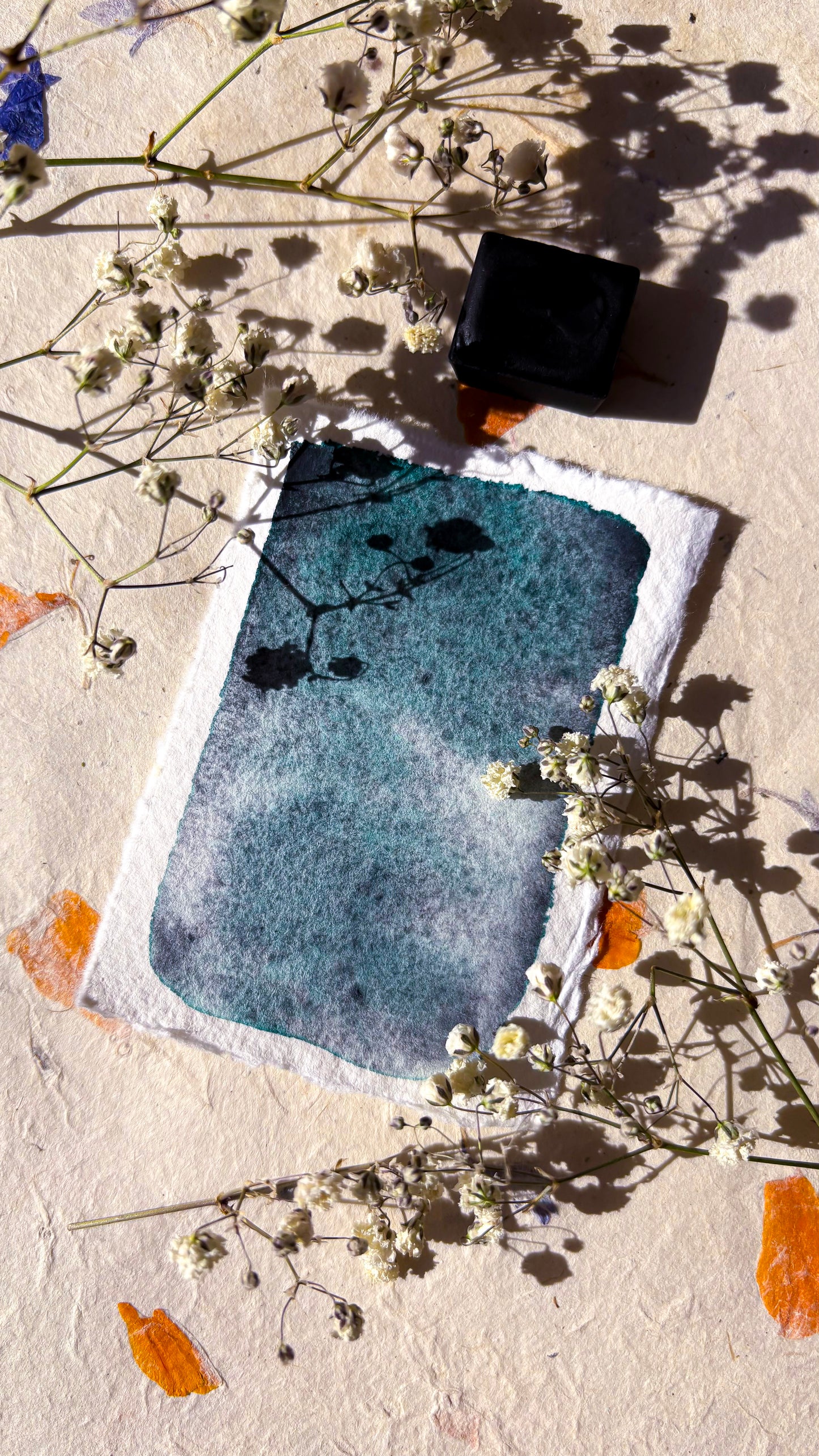 ✨ Muzu 2.0 - Halfpan