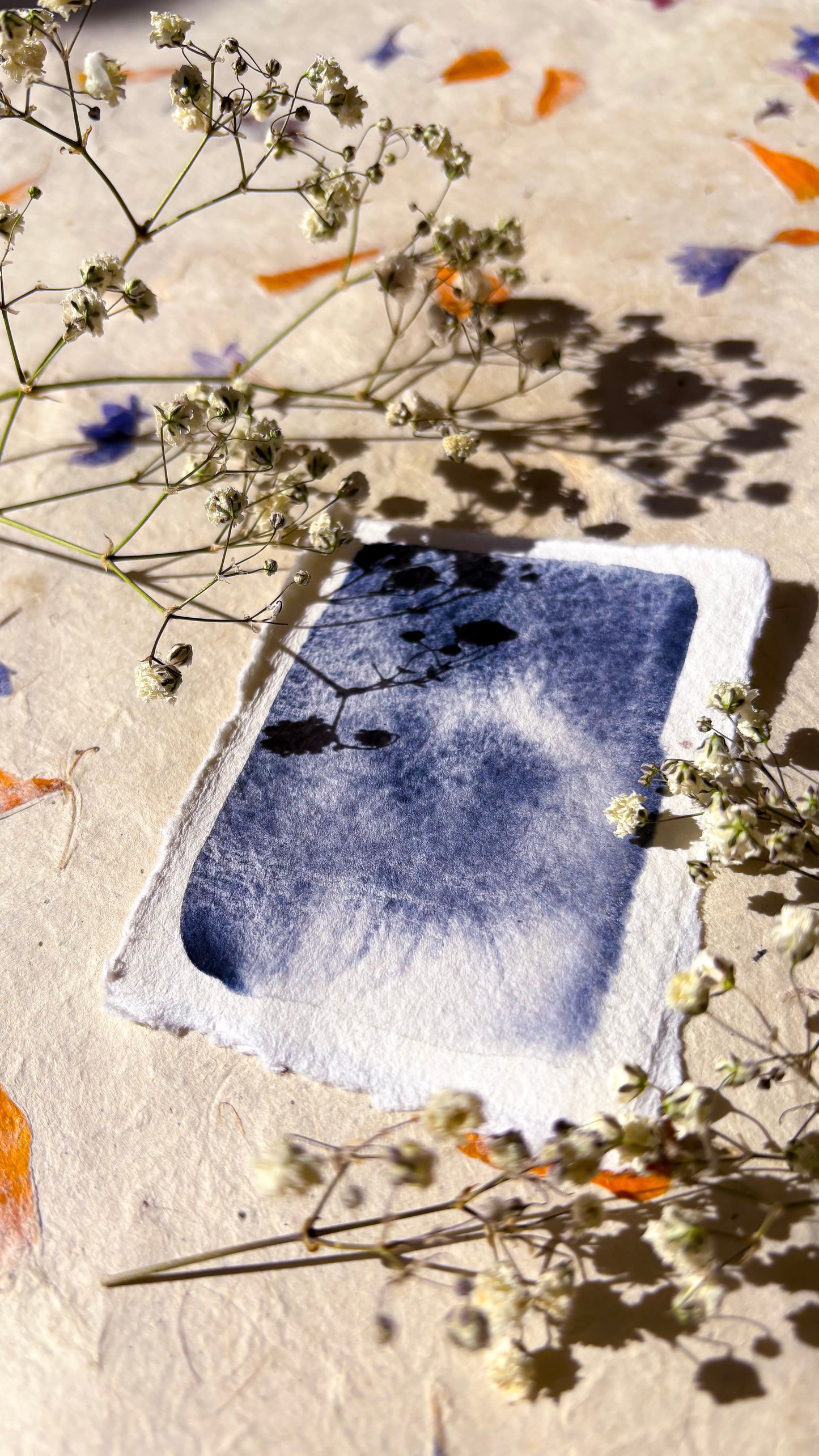 Velaris 2.0 - Watercolour Halfpan