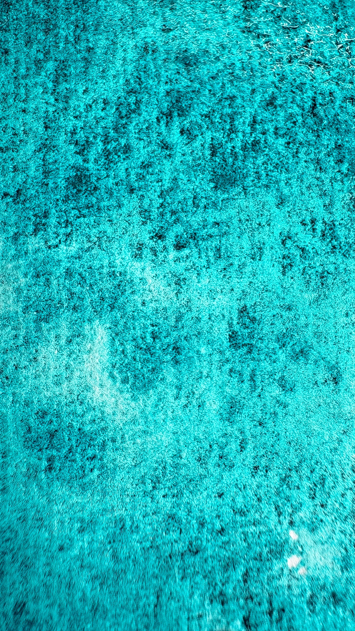 “Light Of Sardinia” - Sealight - Halfpan