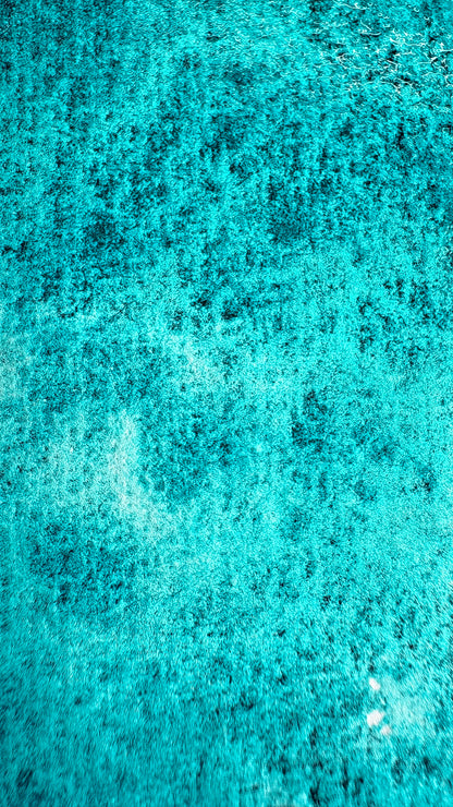 “Light Of Sardinia” - Sealight - Halfpan