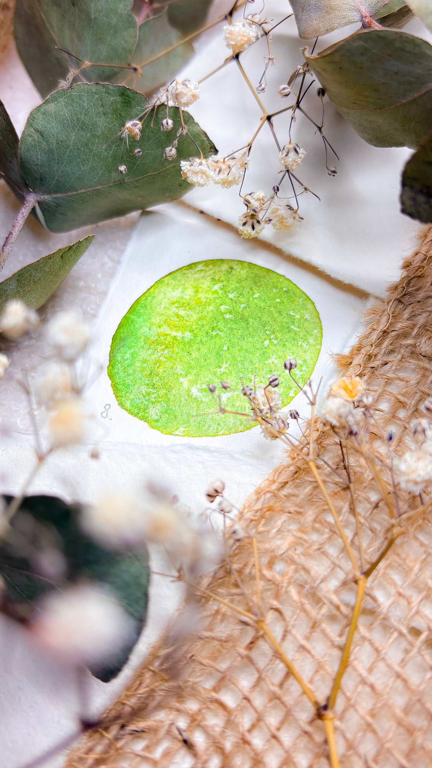 “Pressed Leaf” - SEPARATING - Halfpan