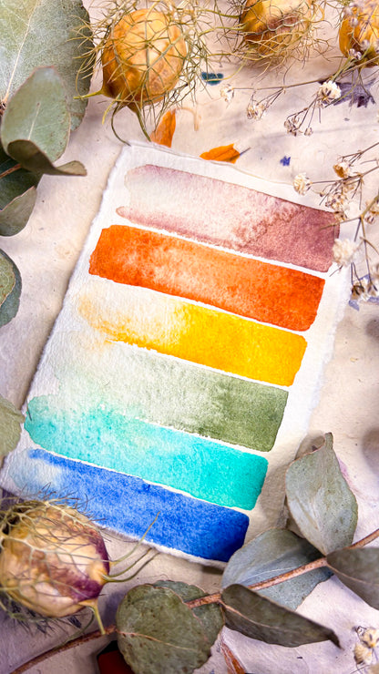 Where the Azulejos Bloom - Spring Collection