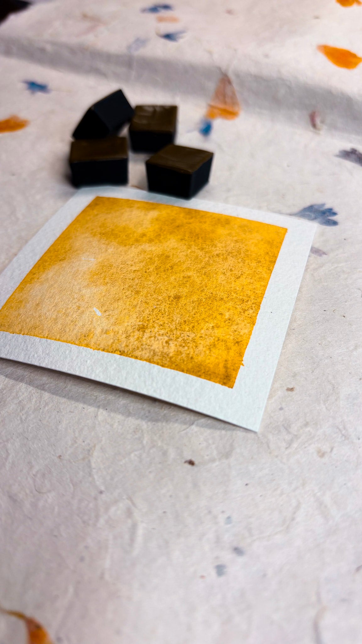 “Light Of Sardinia” -  Sunlit Gold - Halfpan