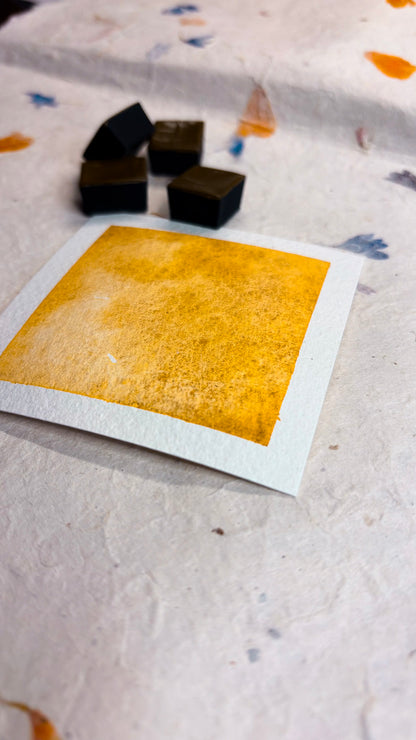 “Light Of Sardinia” -  Sunlit Gold - Halfpan