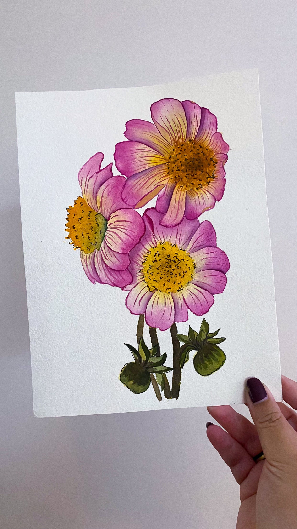 Dahlias coloring page - Digital Download