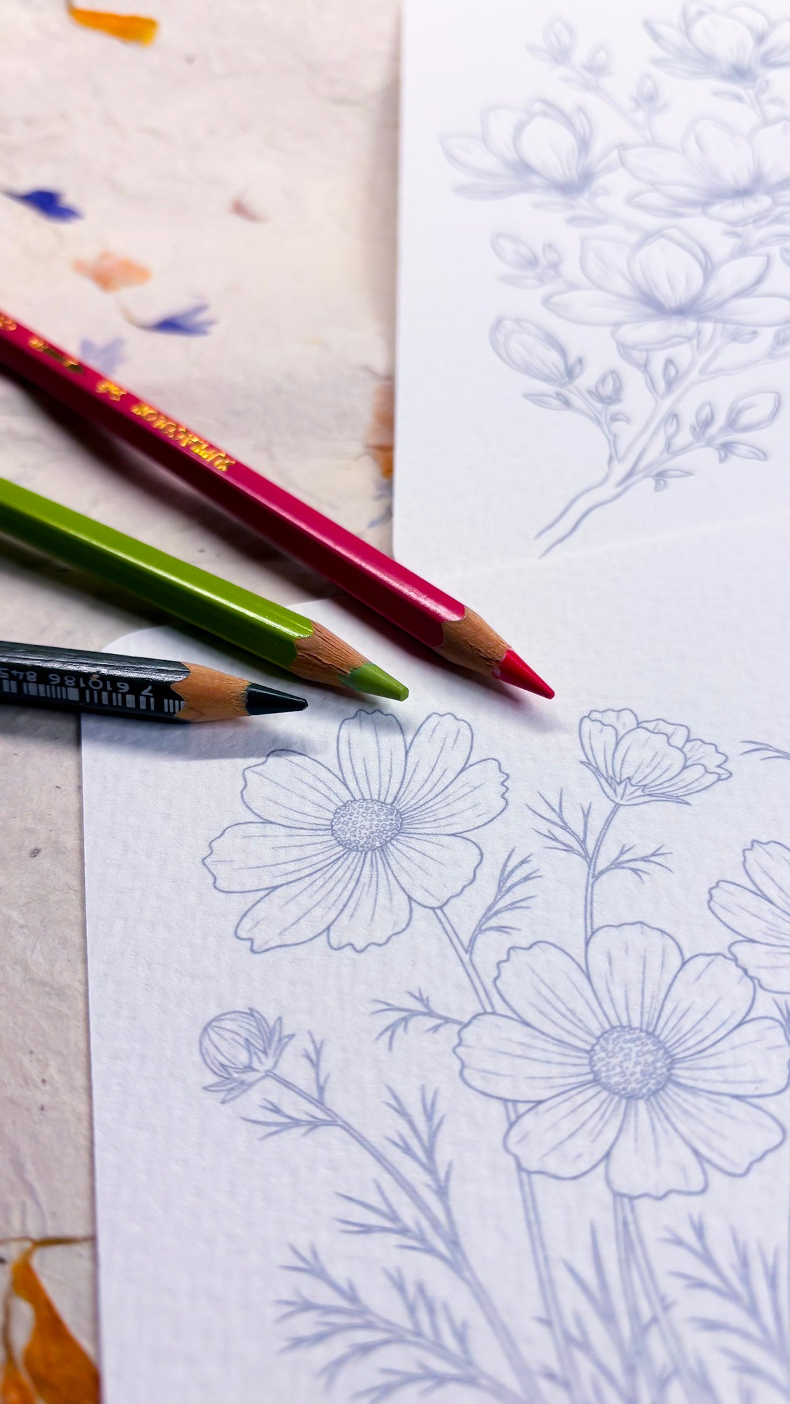 Colouring Postcards - 100% Cotton - 3 cards
