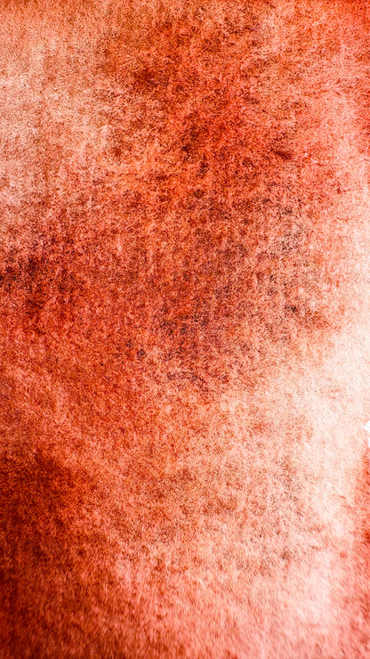 “Light Of Sardinia” -  Warm Stone - Halfpan